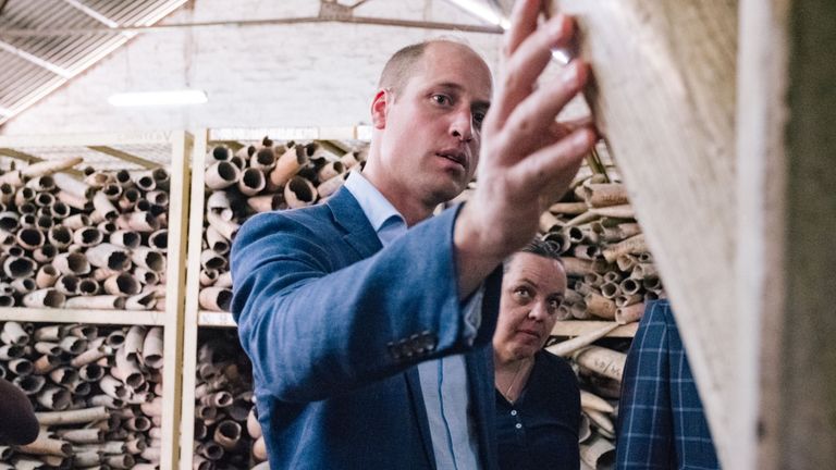 Le prince William a récemment visité un stock d'ivoire en Tanzanie