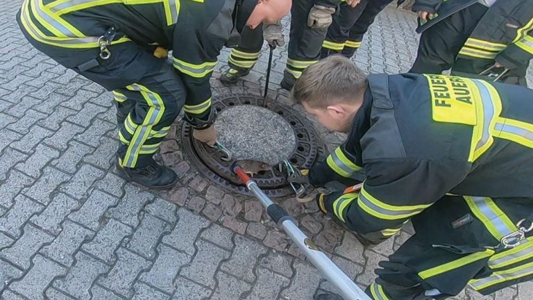 Une équipe de pompiers a aidé à sauver le rongeur trapu