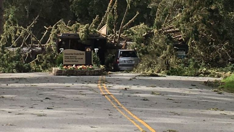 La météo a fait tomber des arbres