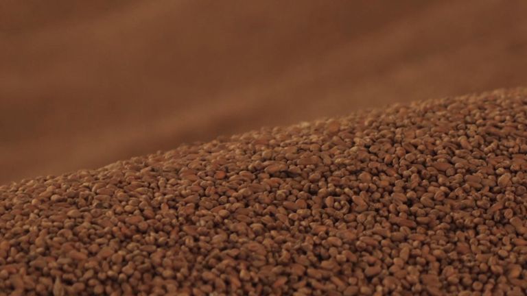 Grain dans un silo
