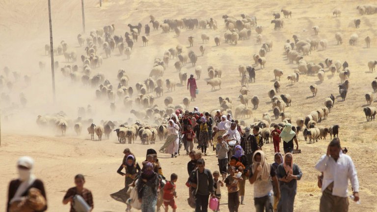 Des personnes déplacées appartenant à la secte minoritaire Yazidi, fuyant la violence des forces fidèles à l'État islamique dans la ville de Sinjar, marchent vers la frontière syrienne, à la périphérie de la montagne Sinjar