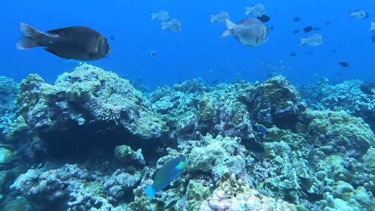 Lagon d'Aldabra