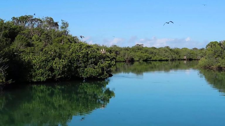 Lagon d'Aldabra