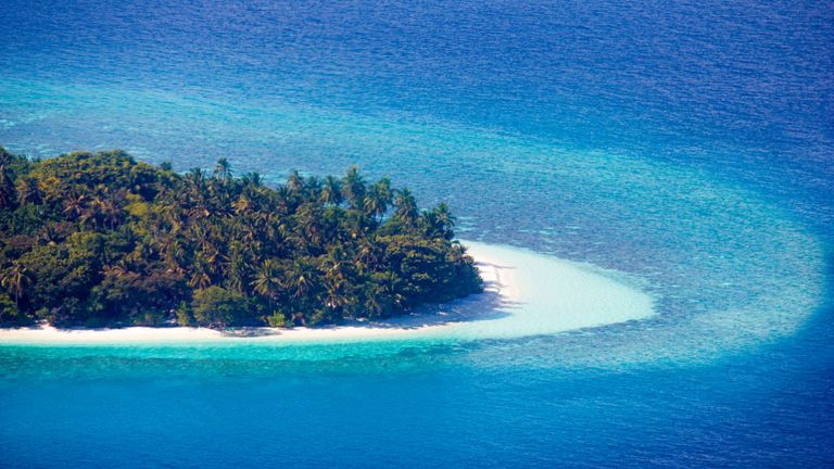 Cousin Island aux Seychelles