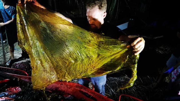 Darrell Blatchley supporte une feuille de plastique trouvée dans le ventre de l'animal
