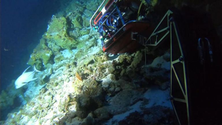 Des sauveteurs récupèrent un mini-sous-marin blessé au fond de l'océan Indien