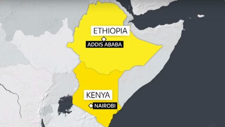 Ethiopian Airlines affirme que 149 passagers et huit membres d'équipage se trouvaient à bord d'un avion qui s'est écrasé six minutes après son décollage d'Addis-Abeba, capitale de l'Ethiopie, à bord d'un vol pour Nairobi.
