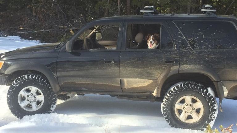 M. Taylor et son chien Ally sont partis chercher de l'essence dimanche et se sont retrouvés coincés dans la neige. Pic: Bureau du shérif du comté de Deschutes