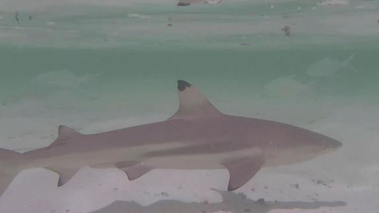 Lagon d'Aldabra