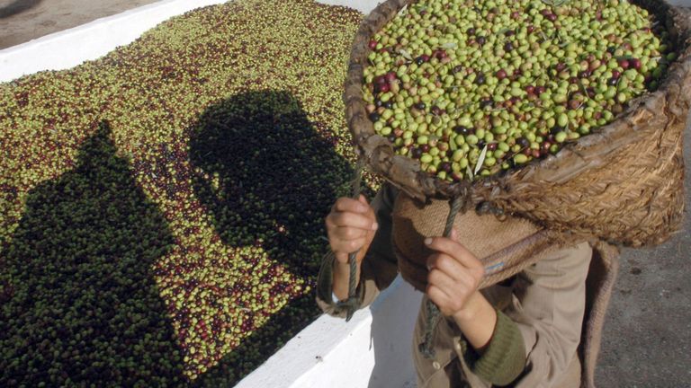 Le crime organisé utilise l'huile d'olive pour gagner de l'argent