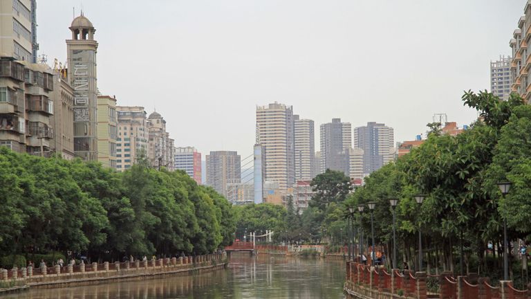 Le chiot a commencé sa formation à Kunming, une ville de la province méridionale du Yunnan, en Chine.