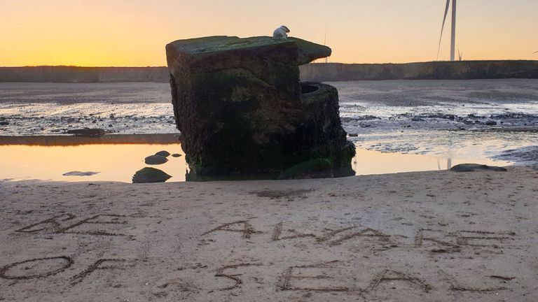 L’animal était échoué au sommet d’une boîte à pilules de la Seconde Guerre mondiale à Fraisthorpe Beach, dans le Yorkshire.