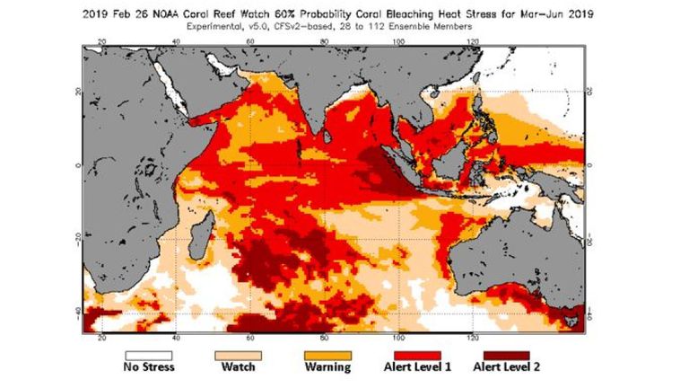 Blanchiment prévu des coraux dans les prochaines semaines. Image: Montre NOAA Coral Reef