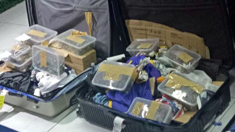 Les bagages non réclamés sont arrivés de Hong Kong. Pic: Facebook / Bureau des douanes NAIA 