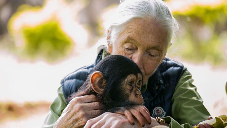 Dame Jane Goodall