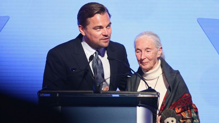 Leonardo DiCaprio et Jane Goodall
