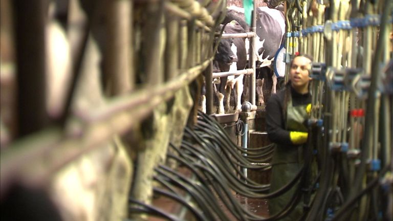 Les producteurs laitiers sont particulièrement préoccupés par le manque de percée à ce stade avancé