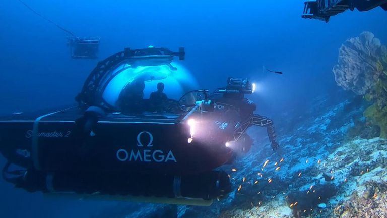 Deep Ocean Live