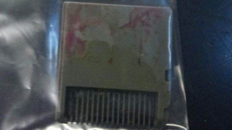 Une cartouche Nintendo DS consommée par Rocco le Staffordshire Bull Terrier de Cumbernauld, North Lanarkshire