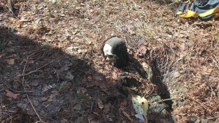 La sombre découverte a été faite par des passants dans les bois