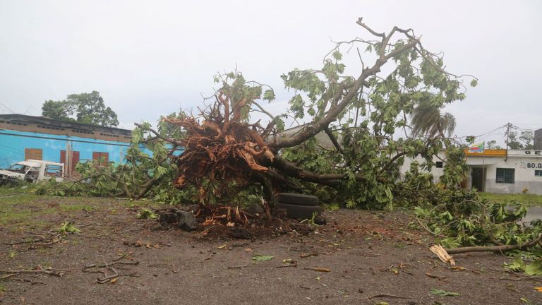 Un arbre à Moroni abattu par le cyclone Kenneth 