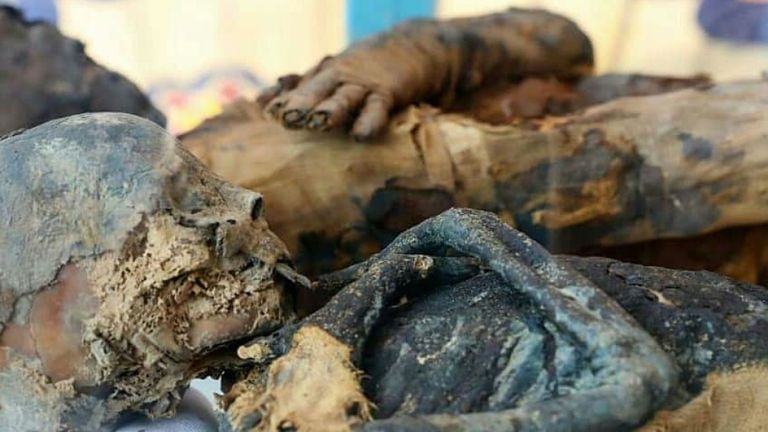 Les restes momifiés des propriétaires de la tombe Tutu et T-Cheret Isis