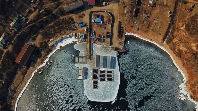 TOPSHOT - Sur cette vue aérienne prise le 22 janvier 2019, des mammifères marins capturés sont observés dans des enclos dans une installation de rétention dans la baie de Srednyaya, dans la ville de Nakhodka, en Extrême-Orient.