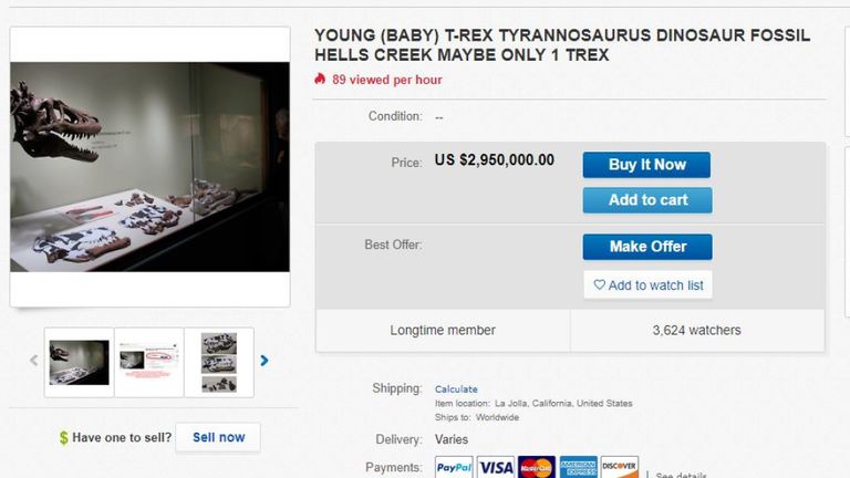 Un chasseur de fossiles du Kansas tente de vendre les restes d’un bébé Tyrannosaurus Rex qu’il a énuméré sur eBay pour un montant de 2,3 M £. Pic: pirategoldcoins / eBay