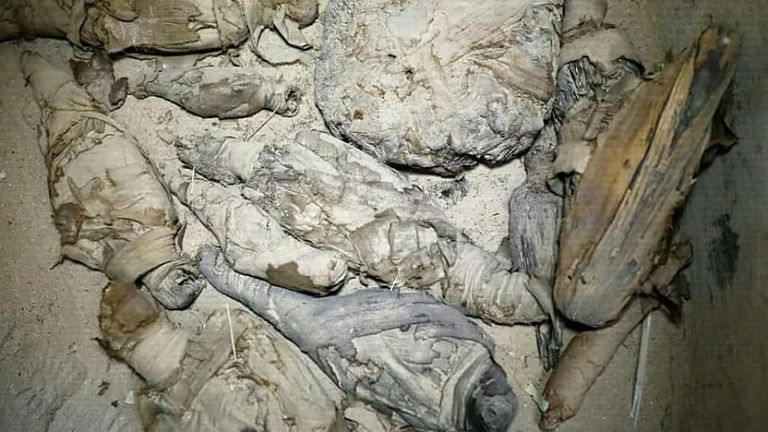 Les momies ont été retrouvées éparpillées dans une partie de la tombe. Pic: Ministère des antiquités d'Egypte