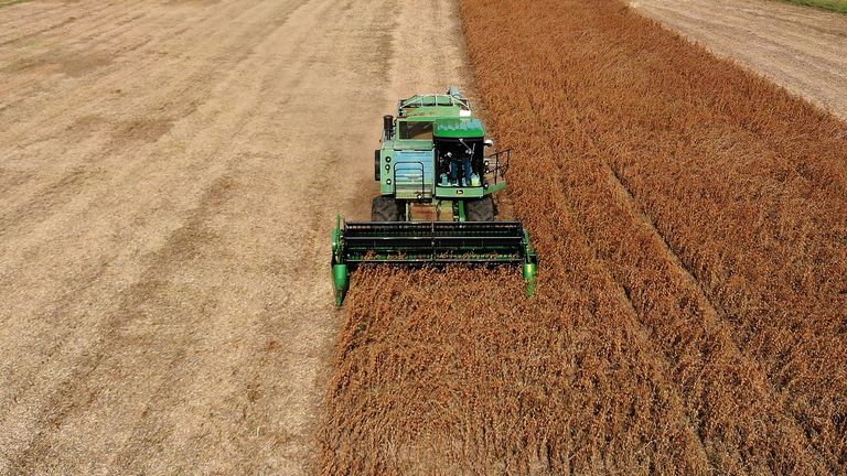 OWINGS, MD - 19 OCTOBRE: L’agriculteur Mark Catterton conduit une récolteuse John Deere alors qu’il récolte du soja lors de sa récolte automnale du 19 octobre 2018 à Owings, dans le Maryland. La majeure partie de la récolte de soja du Maryland est vendue à l'industrie du poulet de l'État sur la côte est. (Photo de Mark Wilson / Getty Images)
