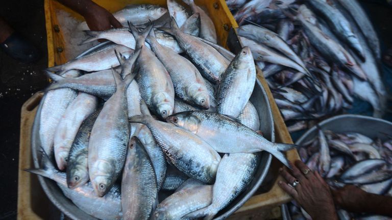 Des interdictions similaires ont été mises en place dans le passé, mais c'est la première fois qu'elles seront étendues à tous les navires de pêche.