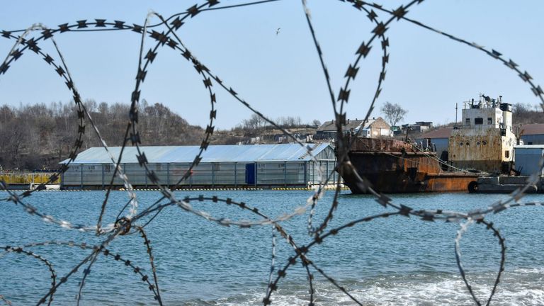 Près de 100 baleines sont retenues captives dans la région extrême orientale de Primorye en Russie