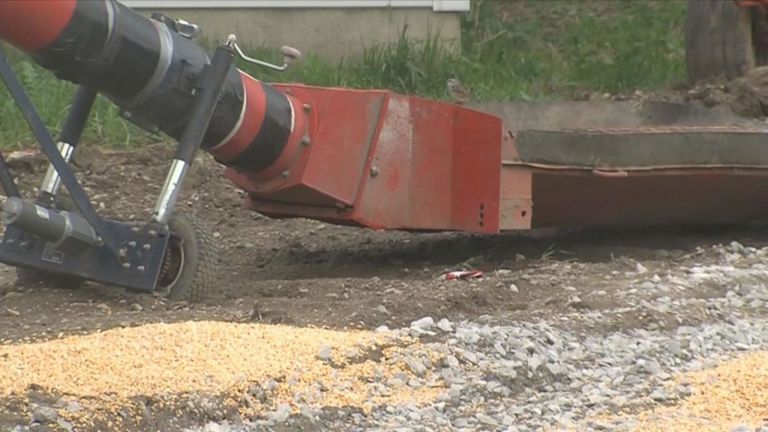 M. Kaser est entré dans une tarière à grains dans sa ferme de Pender, dans le Nebraska. Pic: Nouvelles ABC