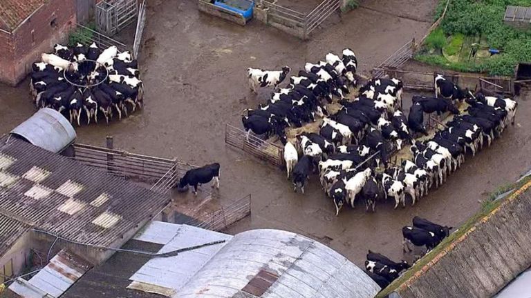 La consommation de viande a chuté de 3% au cours des 20 dernières années, mais nous avons toujours un énorme appétit pour le bœuf. 