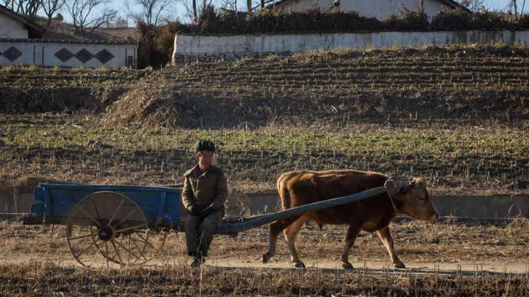 Les équipements obsolètes sont l’un des problèmes qui freinent l’agriculture nord-coréenne, comme en témoigne cet agriculteur situé à l'extérieur de Pyongyang