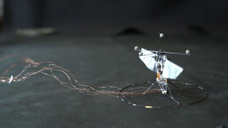 Robot Colibri