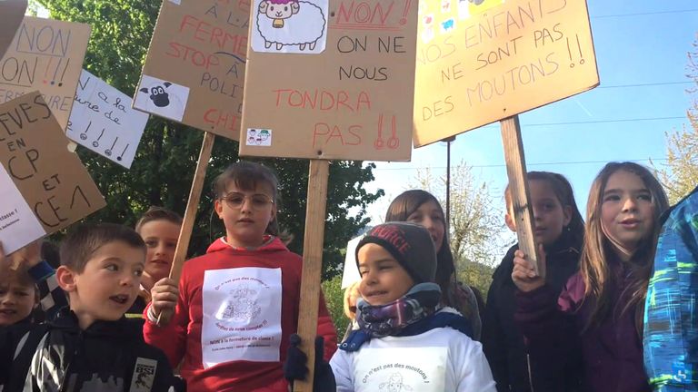 Les moutons ont été inscrits pour garder la classe ouverte. Pic: France Bleu