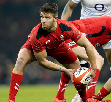 Le demi de mêlée gallois Rhys Webb a démissionné pour ne pas participer à la Coupe du monde de rugby