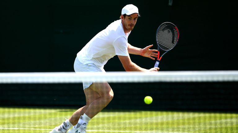 Andy Murray a déclaré que Williams serait un "partenaire plutôt solide".