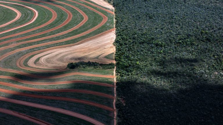 Greenpeace, une région déforestée deux fois plus grande que le Royaume-Uni, a publié une photo non datée publiée par Greenpeace entre 2010 et 2020, malgré les promesses de marques mondiales de mettre fin à la déforestation, affirme Greenpeace.