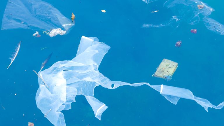 Sacs en plastique et débris flottant dans la mer - Image Libre de Droits