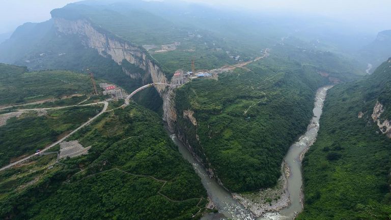 Les coléoptères ont été découverts dans la province chinoise du Yunnan