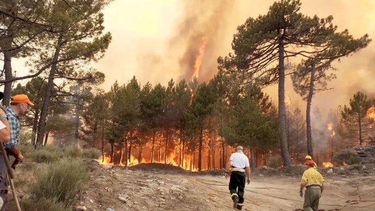 Les pompiers sont vus près de feux de forêt près de Cuevas del Valle en Espagne en juin
