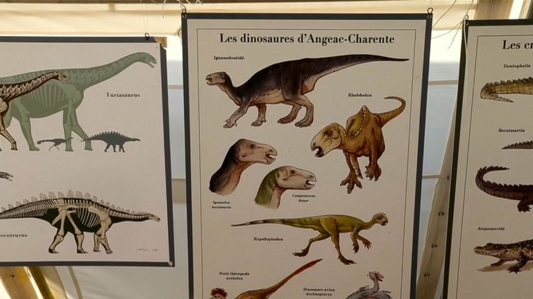 Le site de fouille a vu des milliers de découvertes au fil des ans