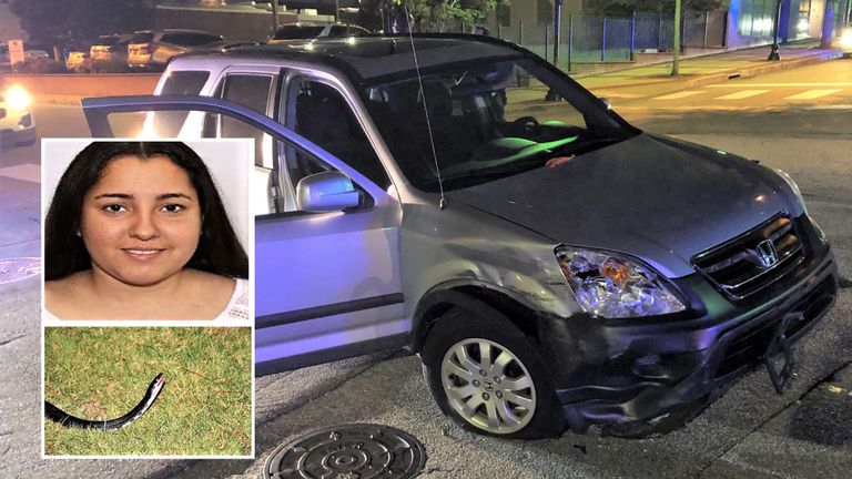 Hilmary Moreno-Berrios (haut en médaillon) aurait volé un VUS (sur la photo) en lançant un serpent vivant (bas en médaillon) au conducteur. Pic: Service de police de Greenville