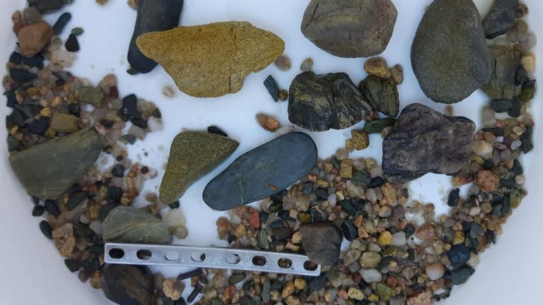 La plaque a été trouvée avec des pierres que le croco utilisait pour moudre sa nourriture. Pic: Facebook / Ferme aux crocodiles de Koorana