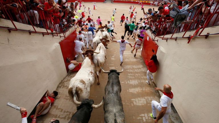 Les animaux sont tués dans l'arène après le festival chaque année