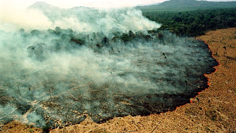 Un incendie détruit une forêt à Apiau, à 120 km de Boa Vista, capitale de l'État de Roraima.