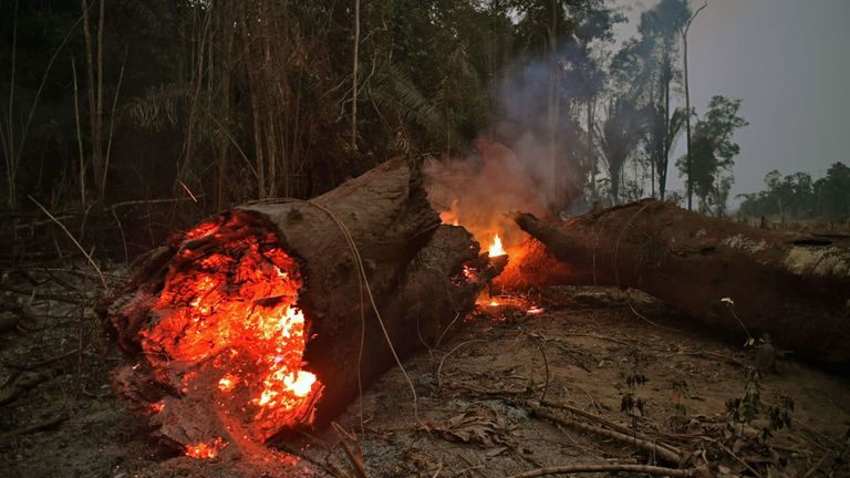 Vue du feu dans la forêt amazonienne, près d'Abuna, État de Rondonia, Brésil, le 24 août 2019