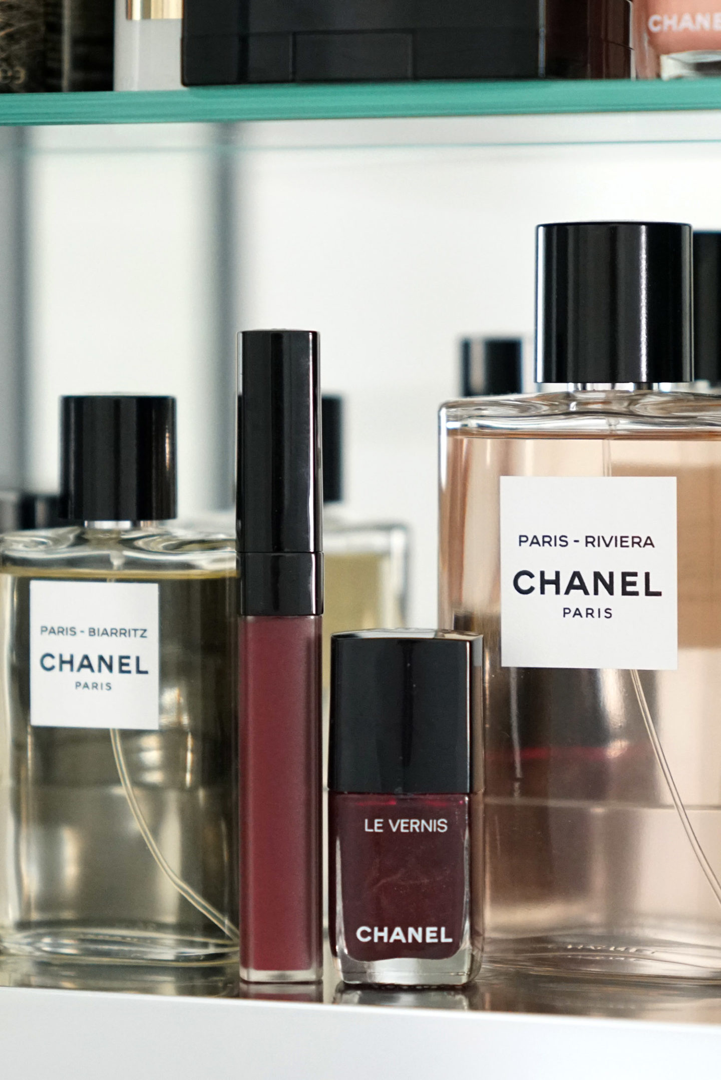 Chanel Le Vernis Vamp et Rouge Coco Blush dans Burning Berry